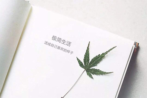 10+ Câu nói tiếng trung đầy ý nghĩa cho mạng xã hội
